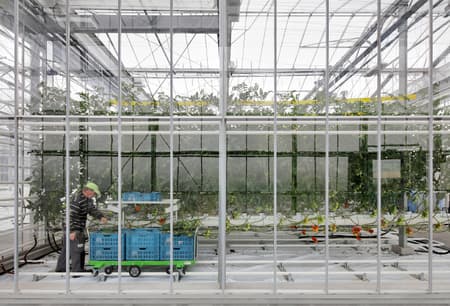 Rooftop Greenhouse Agrotopia